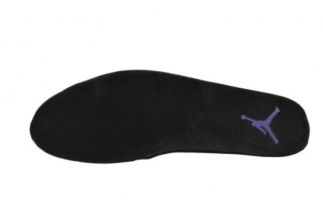 Rep Husky Field CT8013-057 Purple Jordan Retro 12 Air 0809